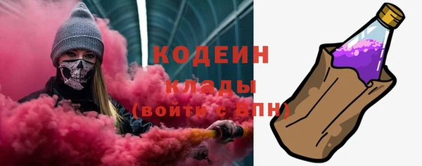 PSILOCYBIN Кадников