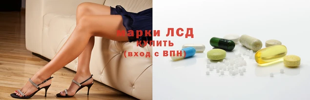 PSILOCYBIN Хадыженск