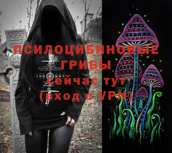 PSILOCYBIN Фурманов