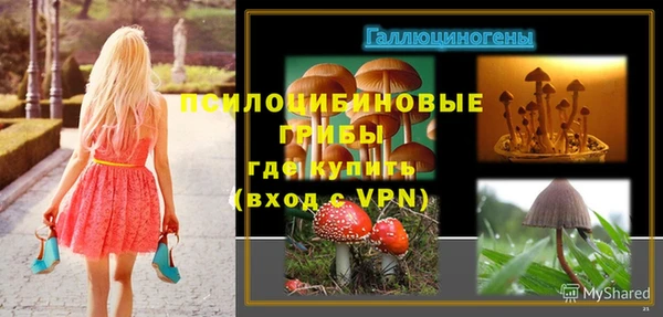 прущая мука Вяземский
