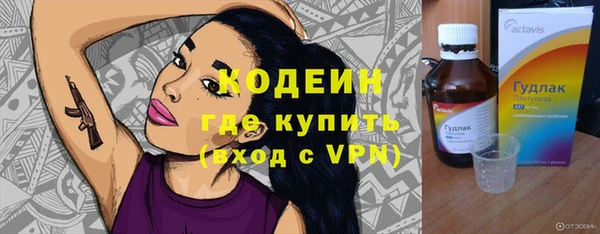 прущая мука Вяземский