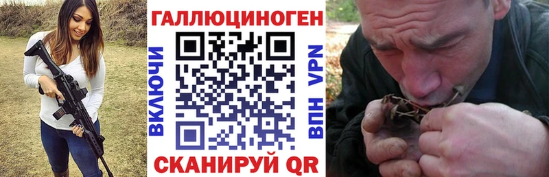 Галлюциногенные грибы GOLDEN TEACHER  купить  сайты  Галич 